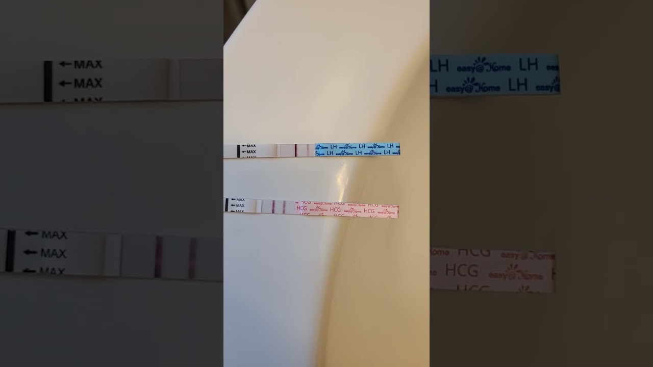 LH test does turn positive when pregnant!!!! FYI...