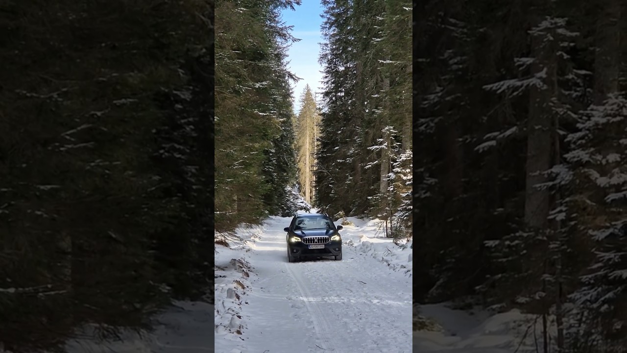 Endless Winter Roads 🌲#snow #snowyroads #car #snowfall