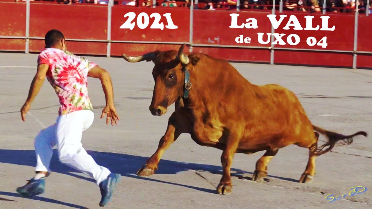 ✅2021 La VALL de UXO  04 ◾ Esencias de la Calle en Asfalto