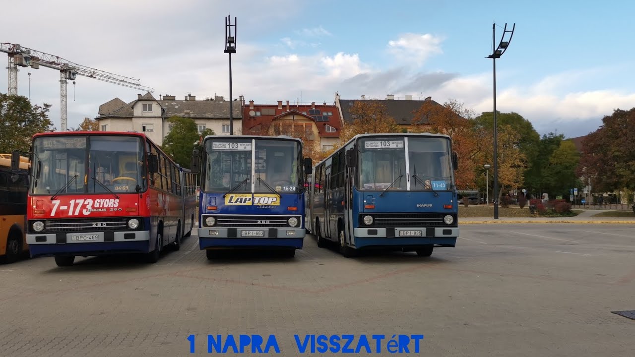 1 napra visszatért a megszűnt 103-as járat Ikarusokkal! Magánszervezésű retrónap