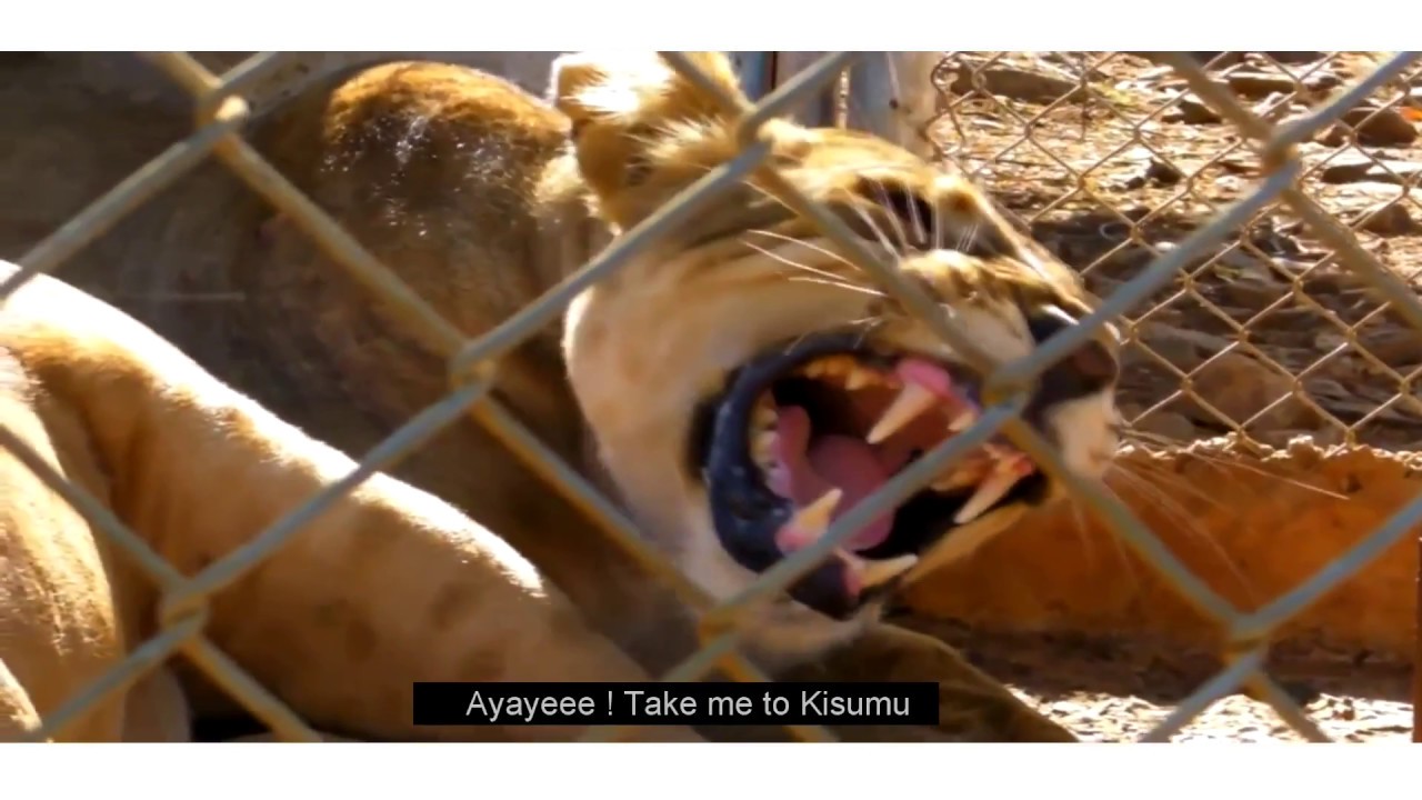 XPAT MKWANJA  - Kisumu 100 Rendition