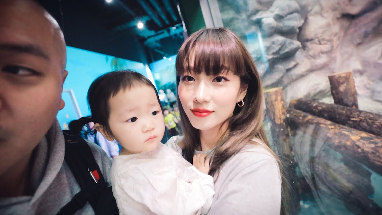 수족관에 한번도 못가봐서 물고기들한테 미안했는데 이번에 다녀왔습니다