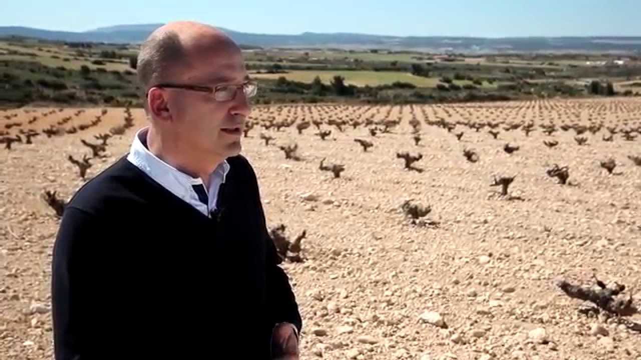 La Garnacha tintorera como jamás la has probado - Todovino.com