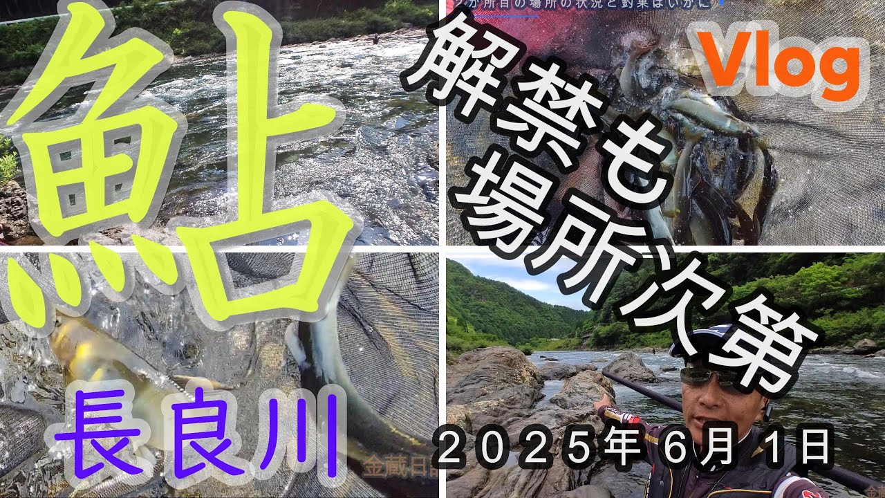 【長良川郡上】解禁も場所次第ですね　２０２５．６．１