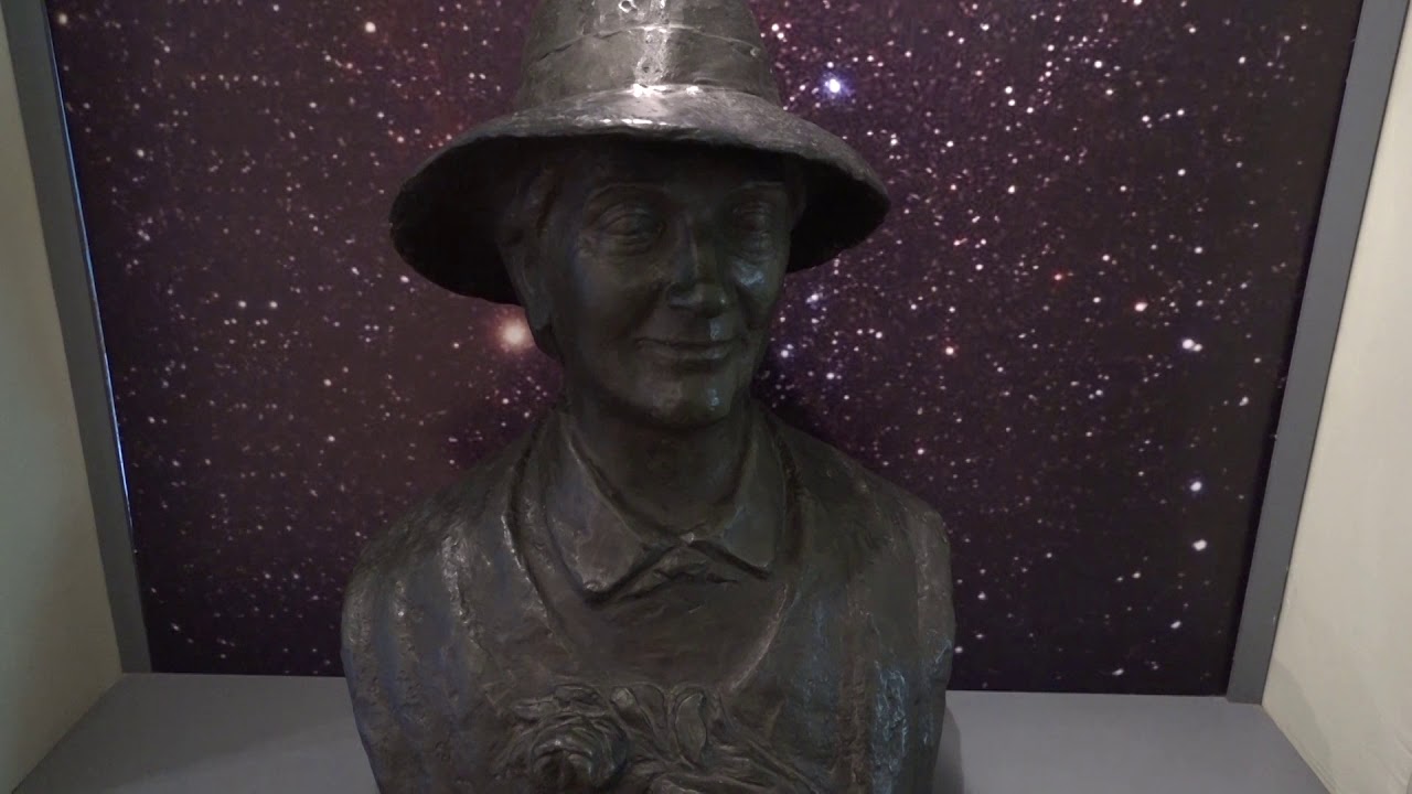 Znaci moga mesta - Brankovina