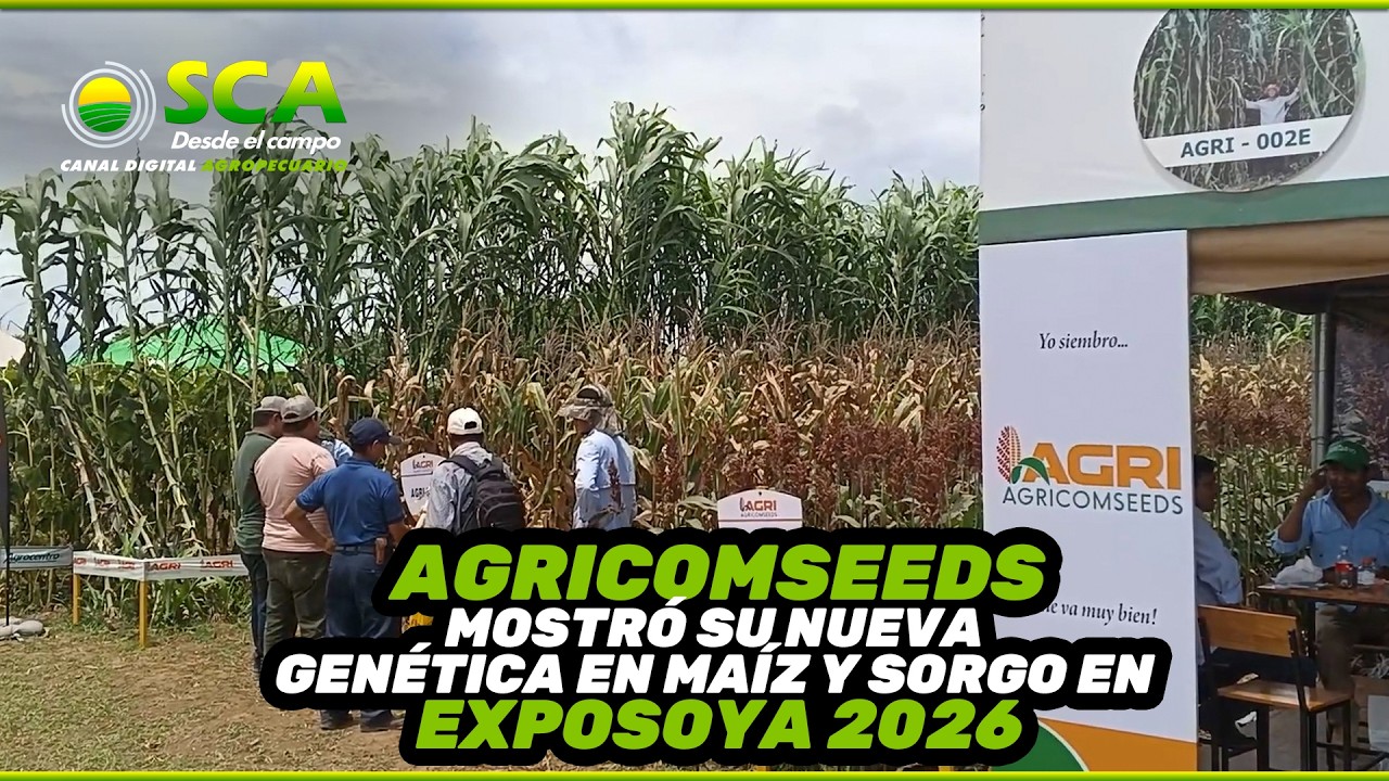 AGRICOMSEEDS MOSTRÓ SU NUEVA GENÉTICA EN MAÍZ Y SORGO EN EXPOSOYA 2026