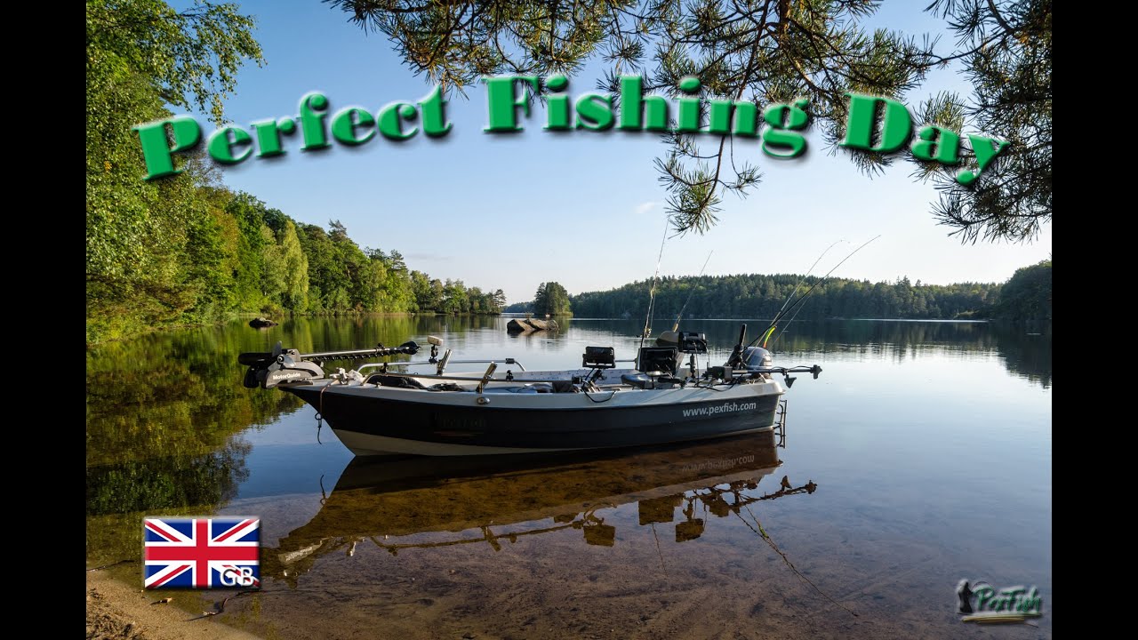 Perfect fishing day
