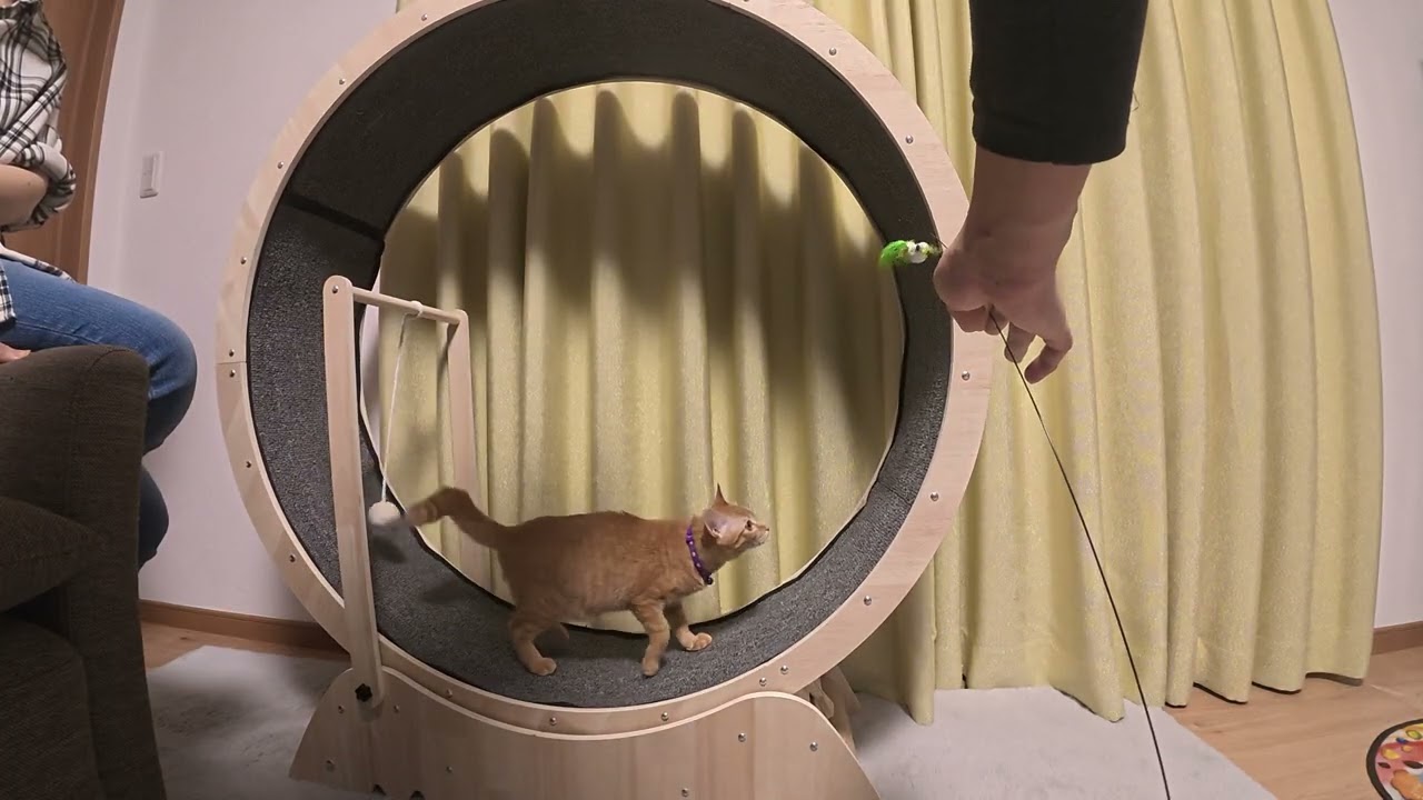 ココア物語９