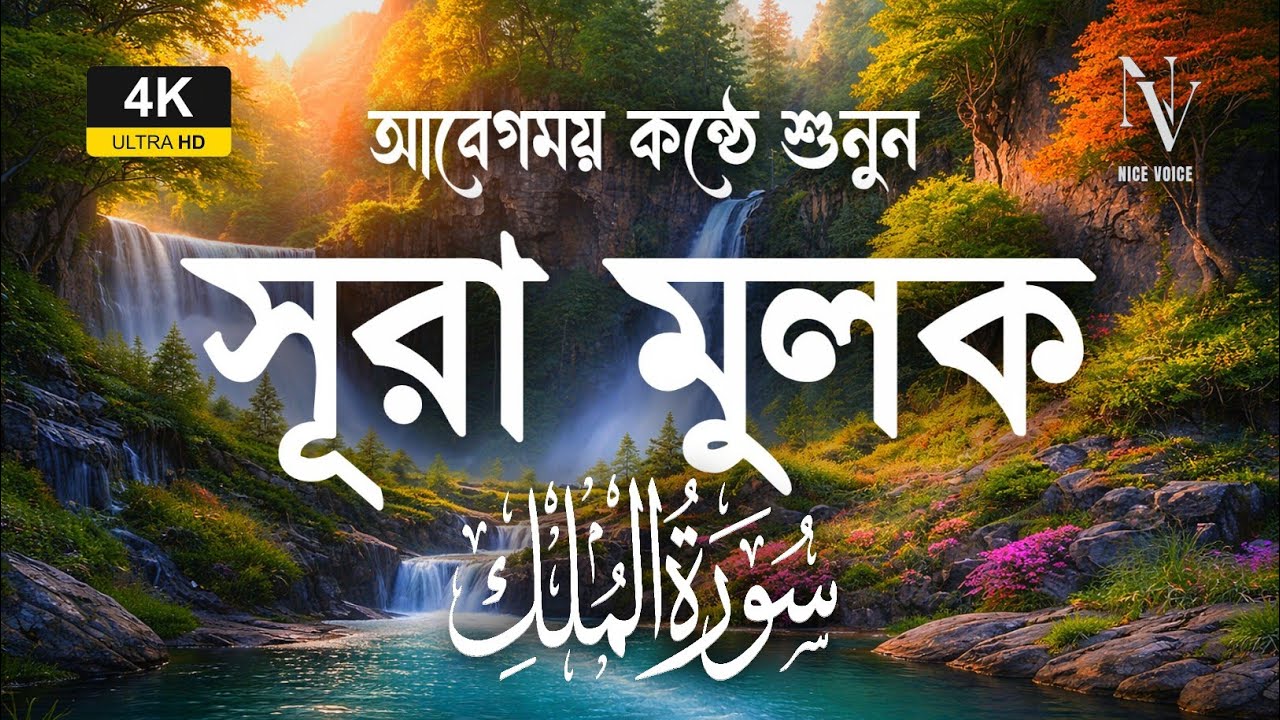 রাতে ঘুমানোর আগে এই সূরা মুলক শুনুন 🌙 | Surah Mulk Tilawat | سورة الملك | Shamsul Haqe