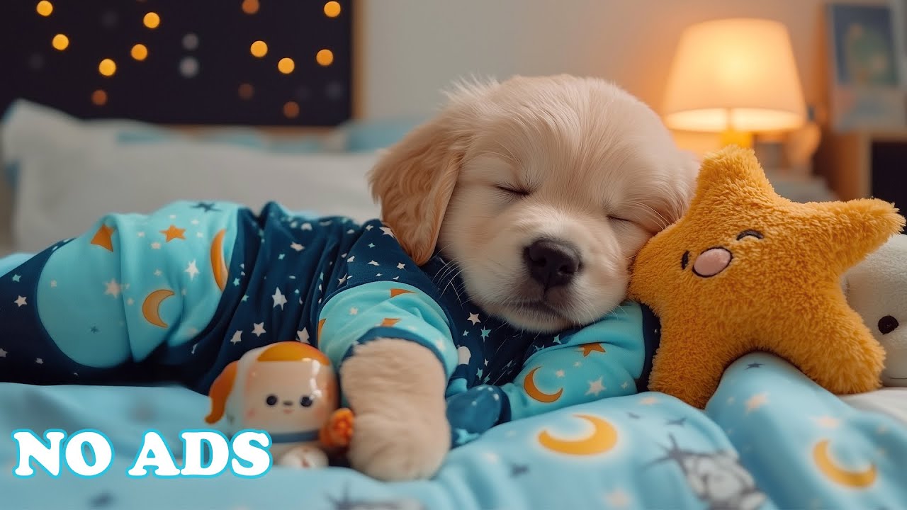 Calming Music for Dogs 🐶 Dog Relaxation Music 🎍 Separation Anxiety Music ⭐ Deep Sleep Music for Dogs