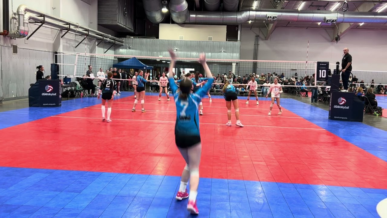 16 Dive Blue/ ClubOne 16 gold