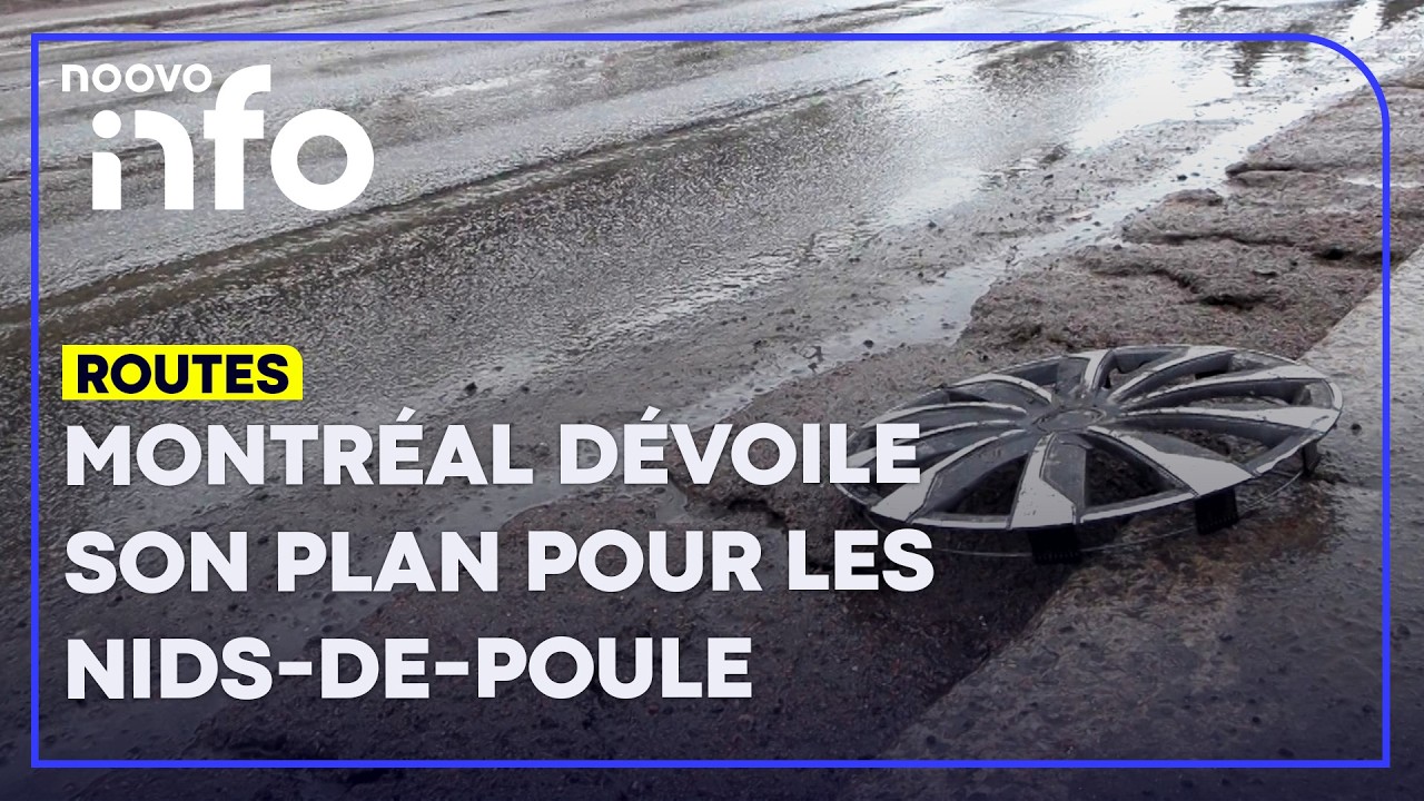 Montréal: l’administration Martinez Ferrada s'attaque au dossier des nids-de-poule