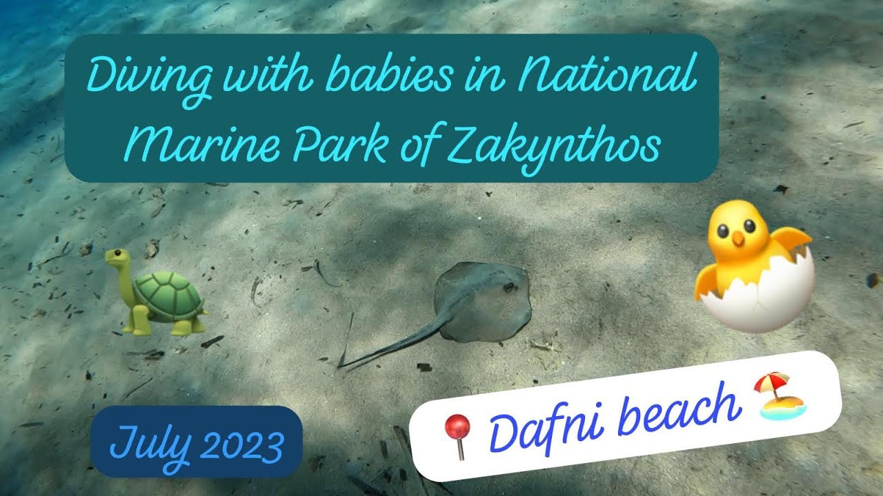 Diving in Dafni beach National Marine Park of Zakynthos July 2023 💙🏖️🐢