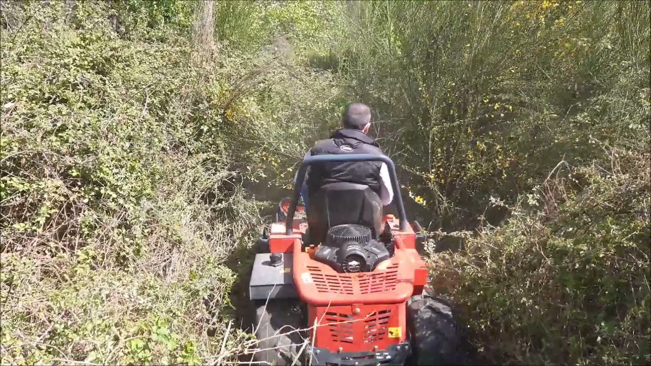 Broyeurs à fléaux autoportée - MECCANICA BENASSI - CDPM