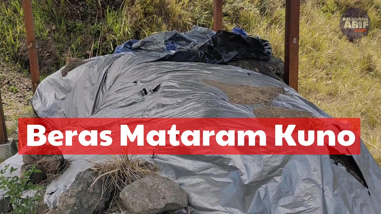 Tipak Padhukuhan Mataram Kuna Sing Katutup Awan Panas - Liyangan