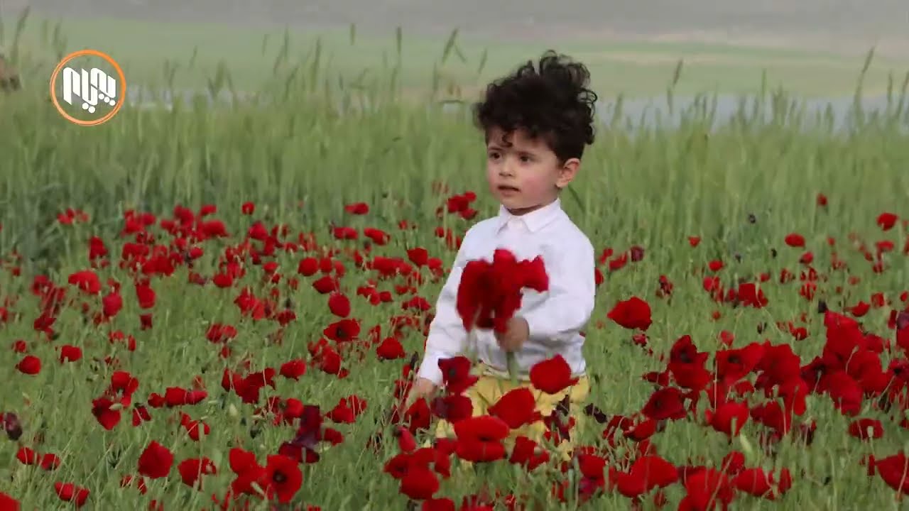 دیمەنی گوڵاڵەسوورەكانی دەربەندی ڕانیە سەرجی گەشتیارانی ڕاكێشاوە
