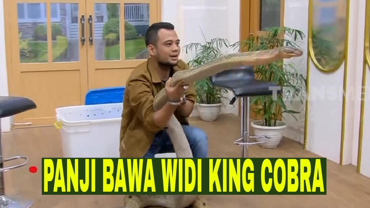 CERITA PANJI PETUALANG TENTANG SAKITNYA | FYP (11/08/23)