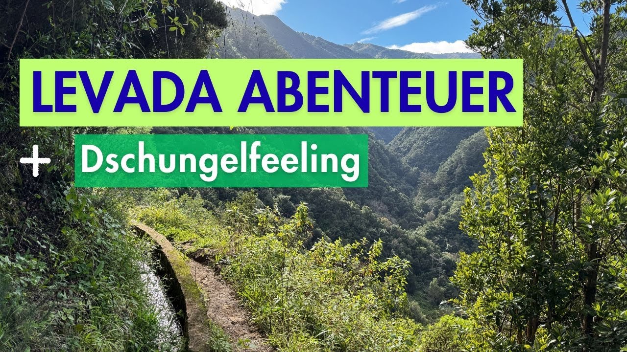 🌿 Levada do Castelejo Madeira 🇵🇹 | Dschungelfeeling & Nervenkitzel