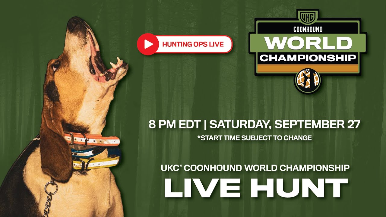 2025 UKC Coonhound World Championship Finals - Hunt for the Crown