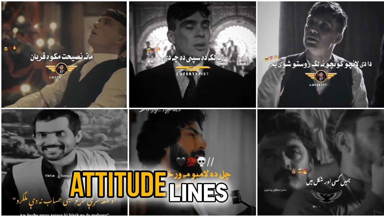 Pashto attitude lines|| tiktok pashto || basher typist .