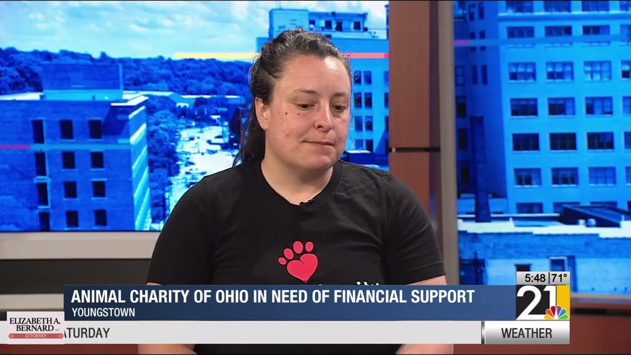 Animal Charity of Ohio in Need of Financial Support