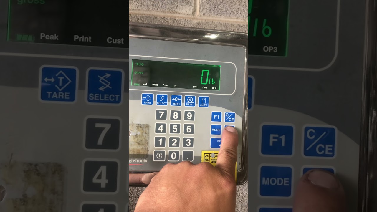 calibration adjustment of a Weightronix E1010