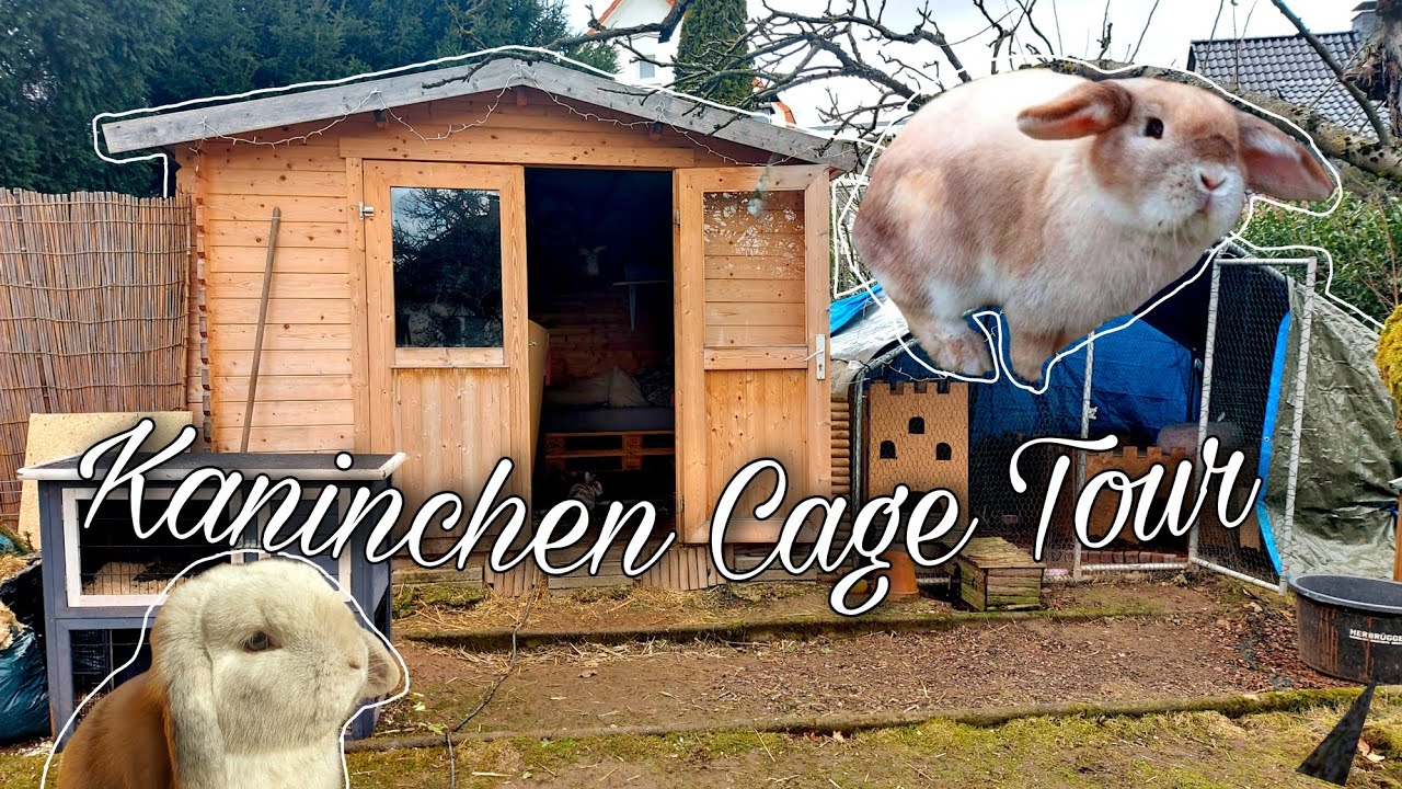 Kaninchen Stall Tour 🐰❤
