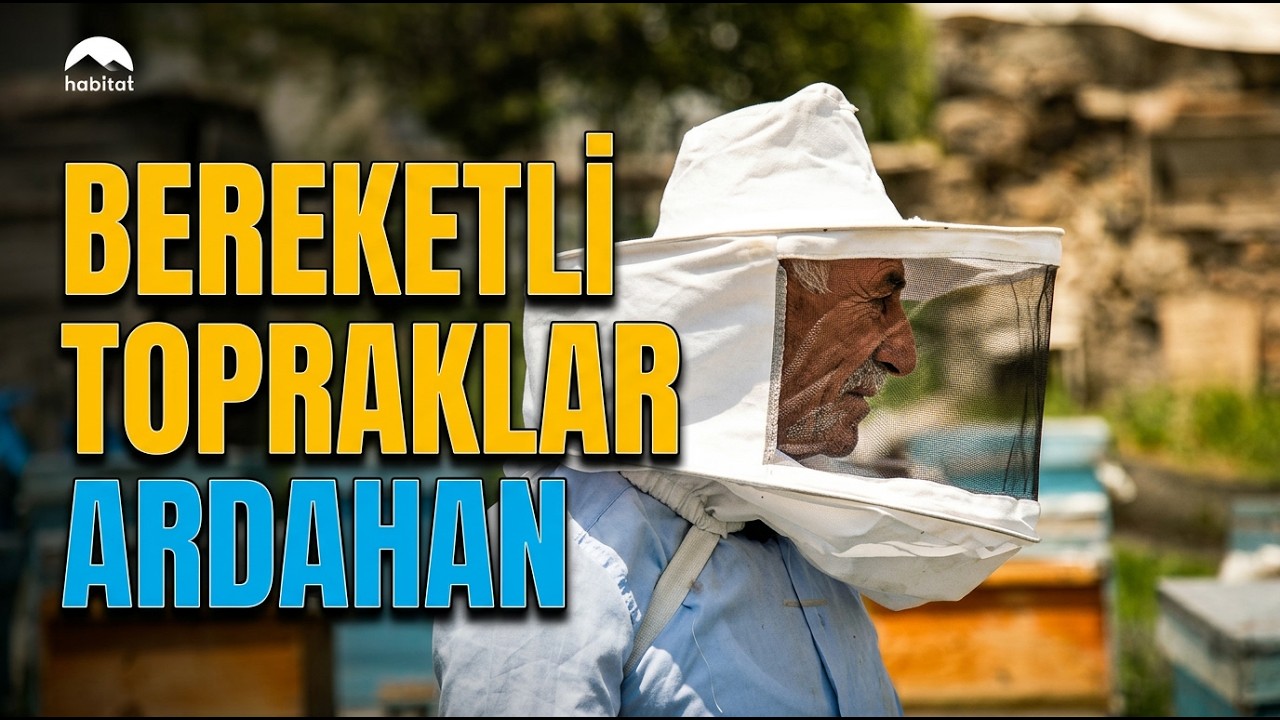 Ardahan’ın Yaylalarında Arıcılık ve Hayvancılık Mucizesi! 🐝🐄 Bereketli Topraklar habitat'ta!