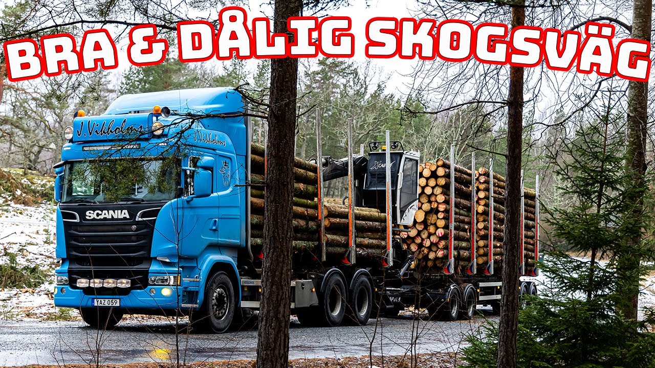 Bra och en riktigt dålig skogsväg