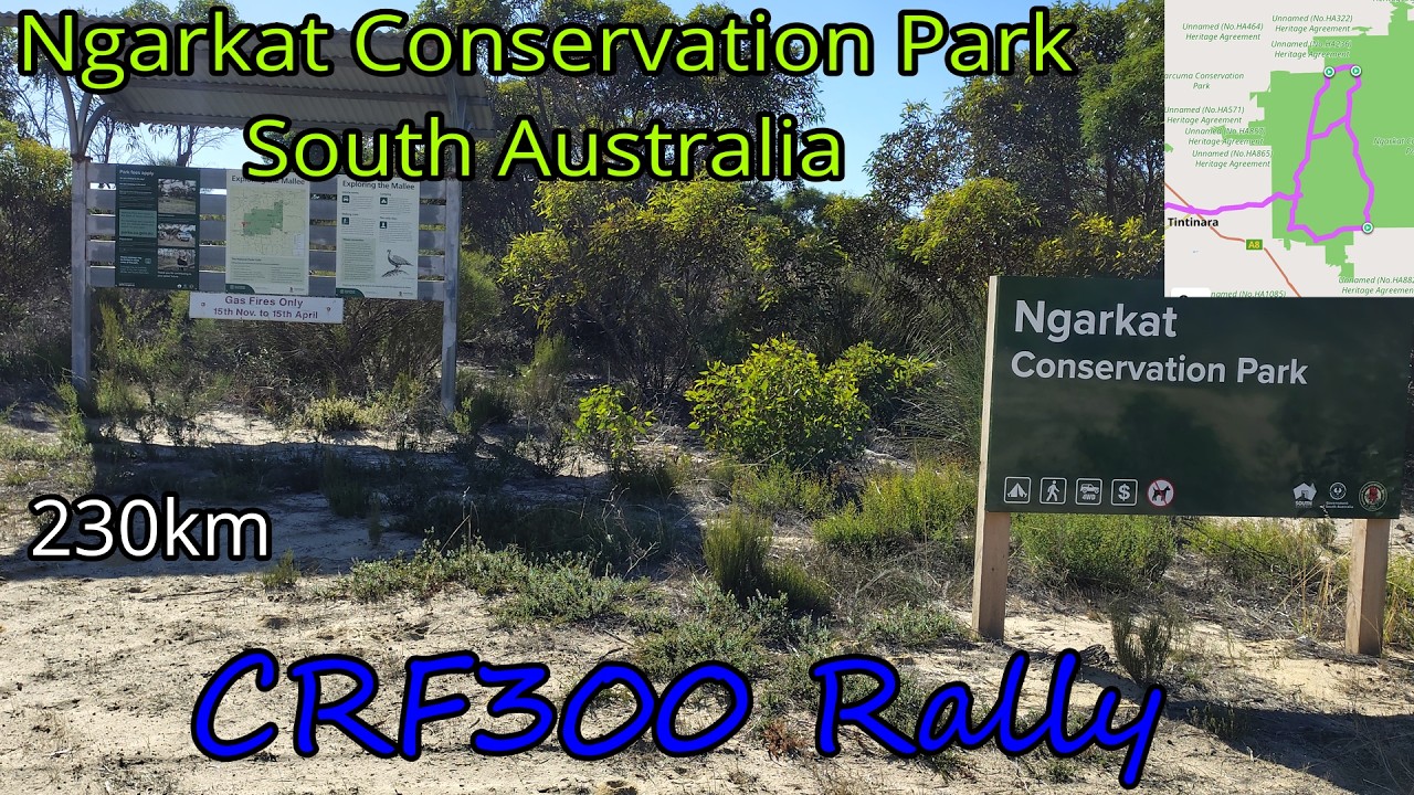 Ngarkat Conservation Park CRF300 Rally