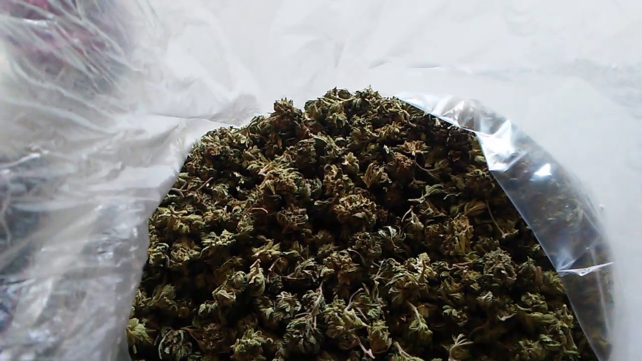 Small buds to 🚬 @ 420
