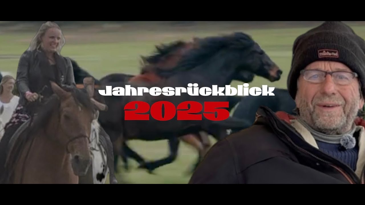 Jahresrückblick 2025