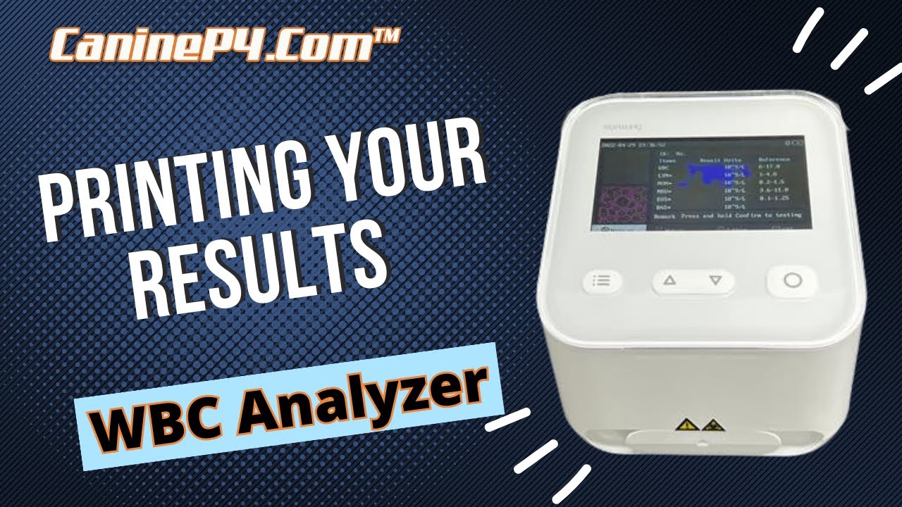 Setting Up Printer | White Blood Cell Counter Fog Dogs