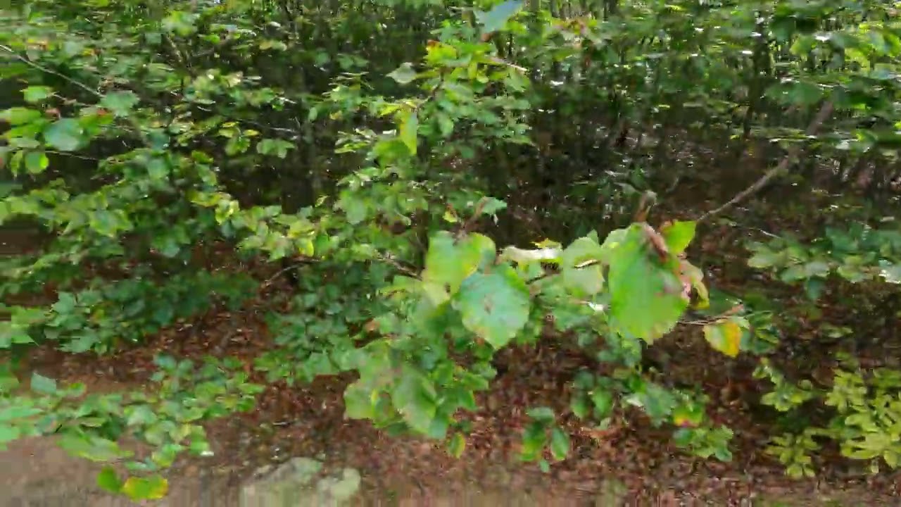 MTB Muntii Almaj | Traversare Mehadia Putna
