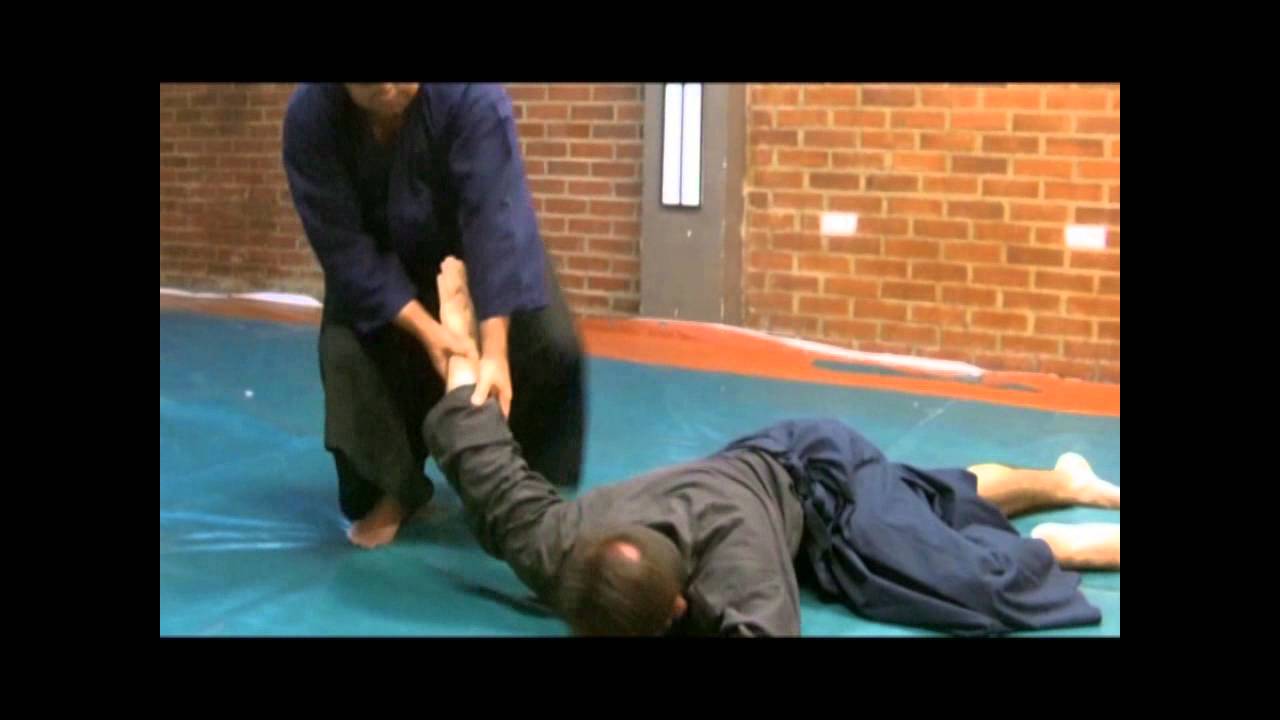 Ogawa Ryu - Serie of video for Students - 合気柔術  - Aikijujutsu