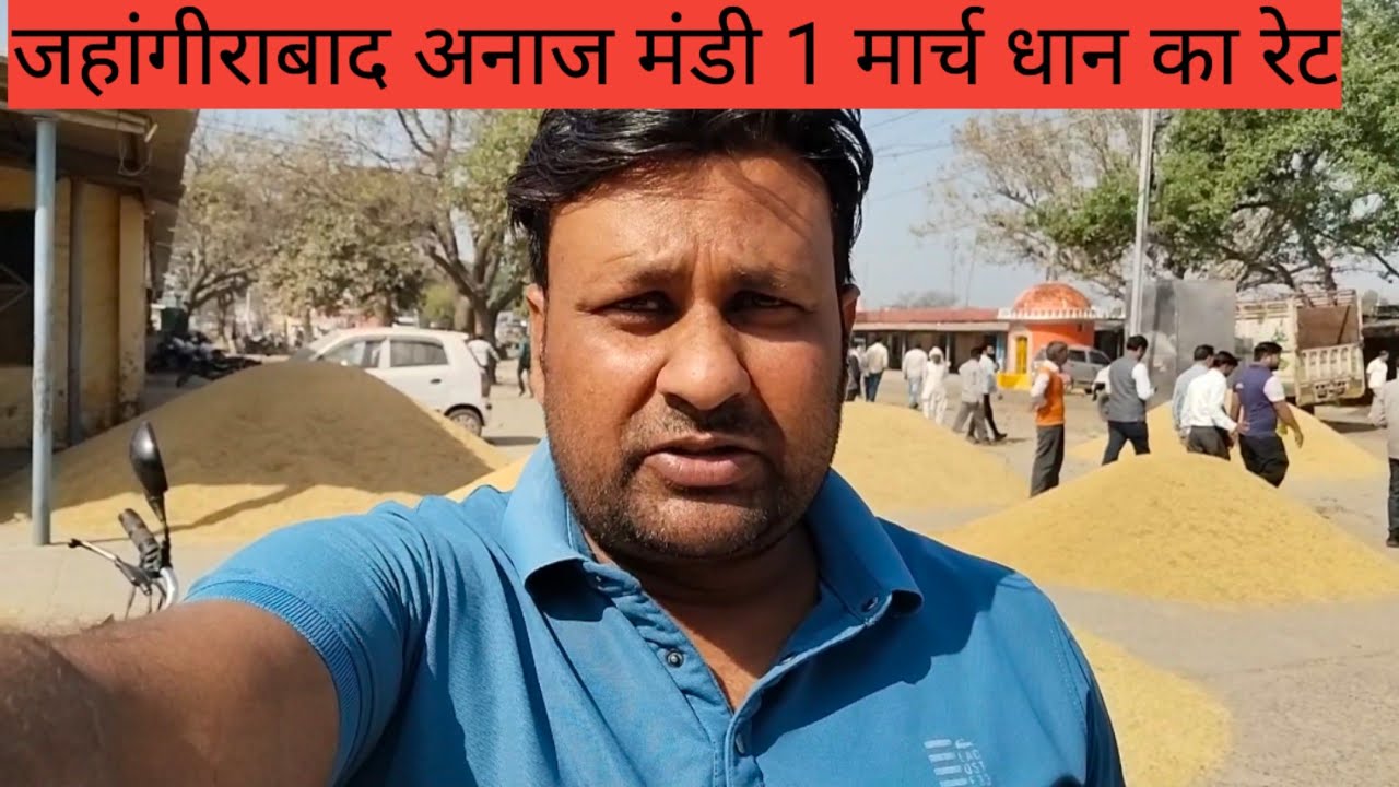जहांगीराबाद अनाज मंडी, 1 मार्च, दिन रविवार ,धान का रेट// vikash vlogs tiger// village style vlogs 