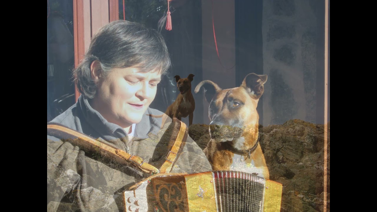 Ki-koad (le chien des bois)