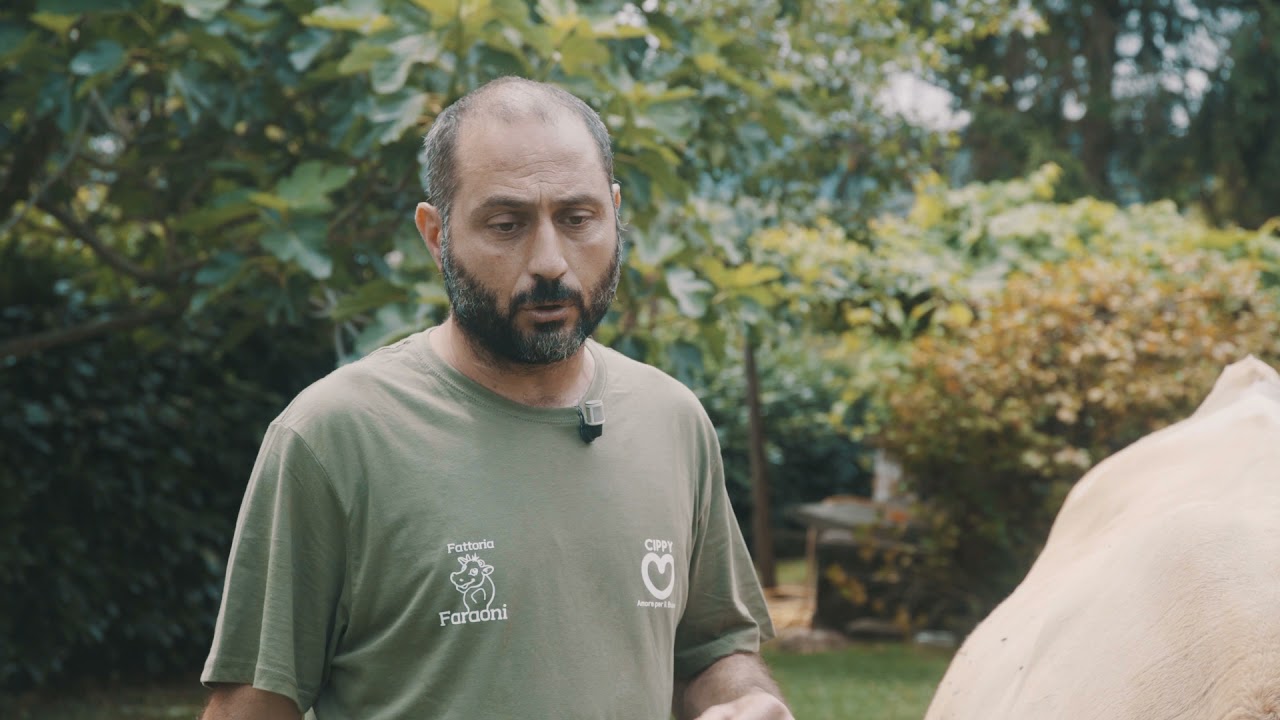 La fattoria Faraoni e il pascolo rigenerativo