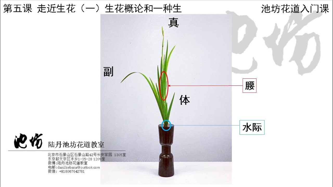 池坊華道入門課程：第五课：走近生花（一）生花概論和一種生
