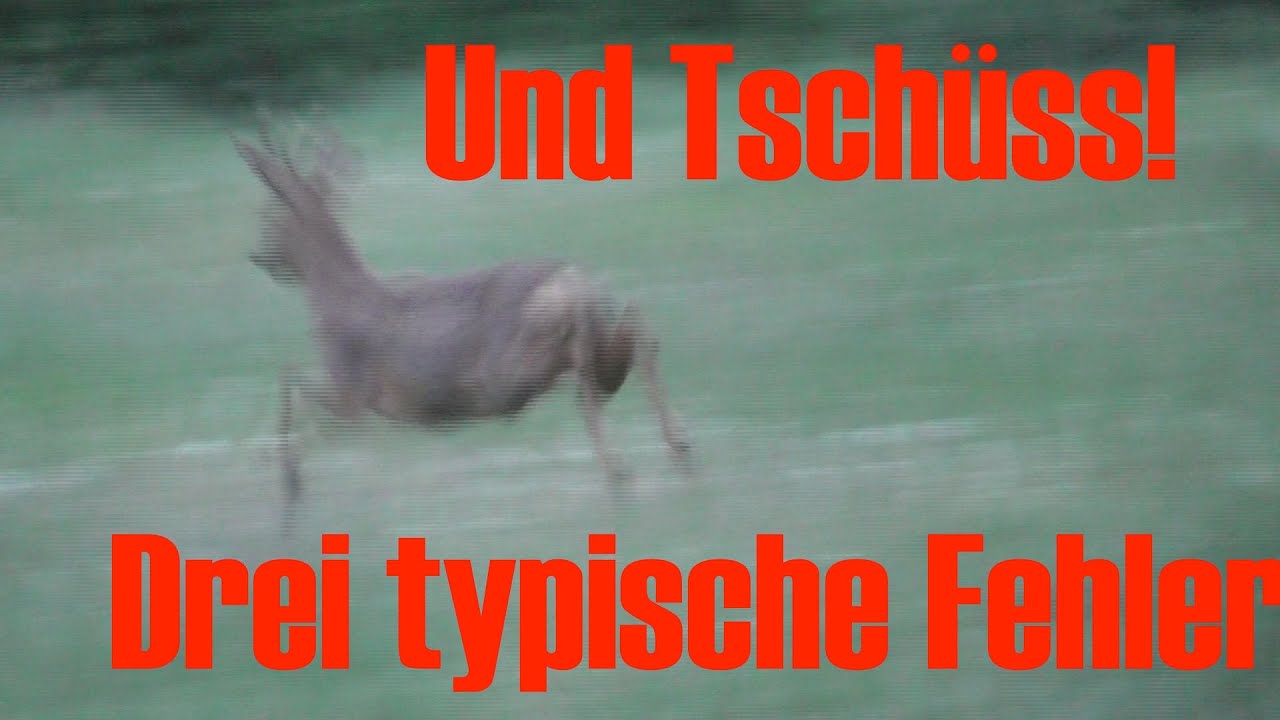3 typische Fehler auf der Jagd!