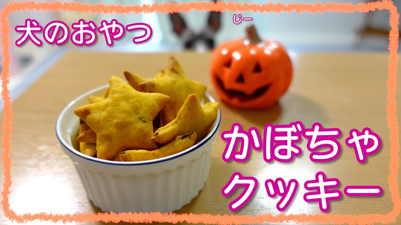 【犬のおやつ】簡単★手作り犬用かぼちゃクッキーの作り方【イタグレ】