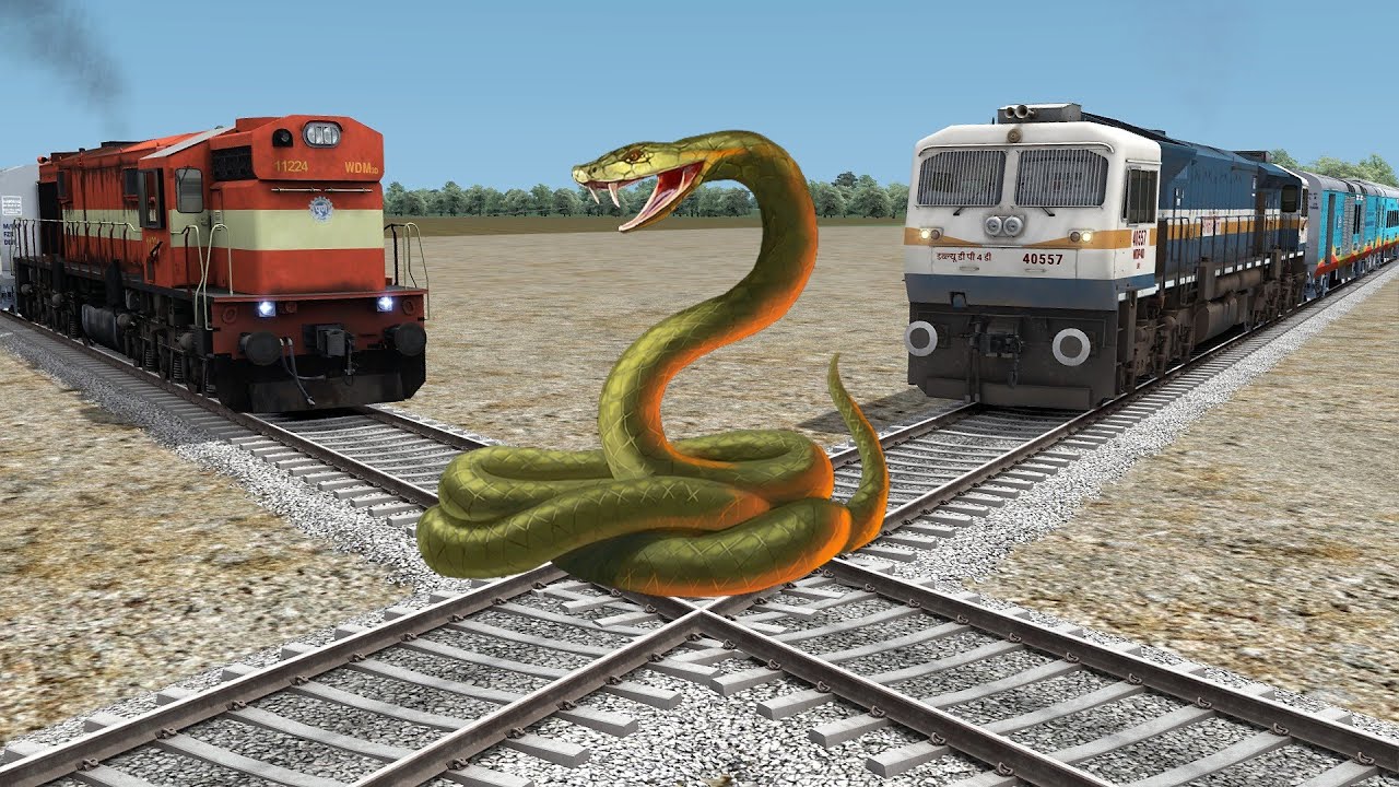 Giant Anaconda vs Two Trains | Stops The Train - BeamNG.Drive