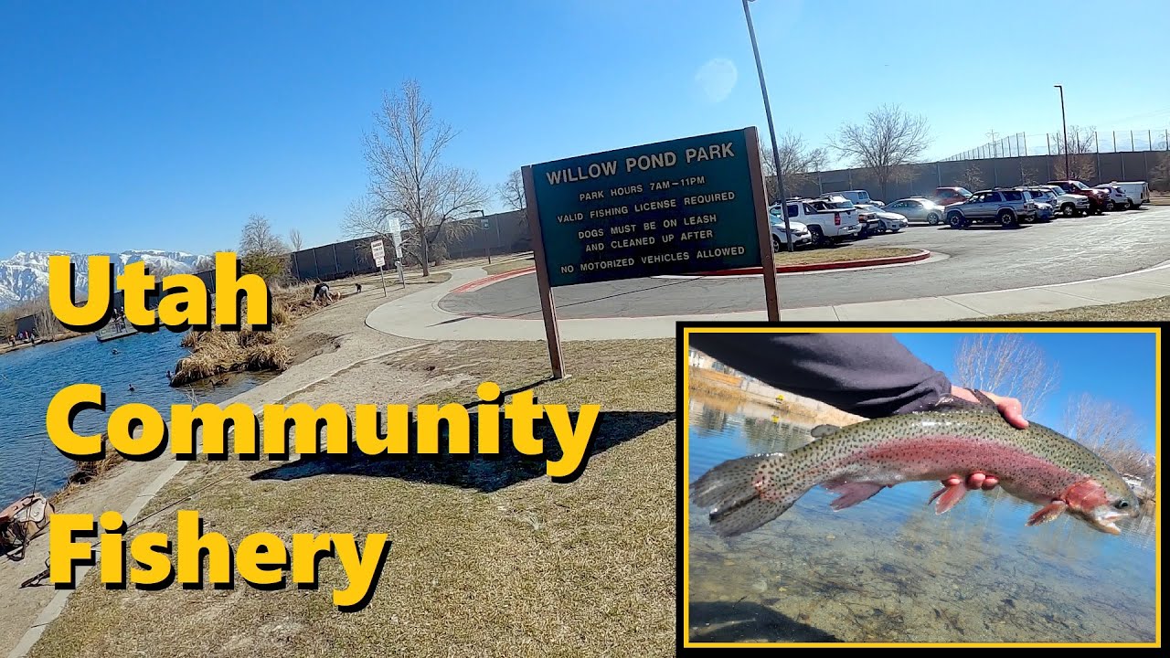 Willow Park Pond - Utah Community Fishery Fly Fishing