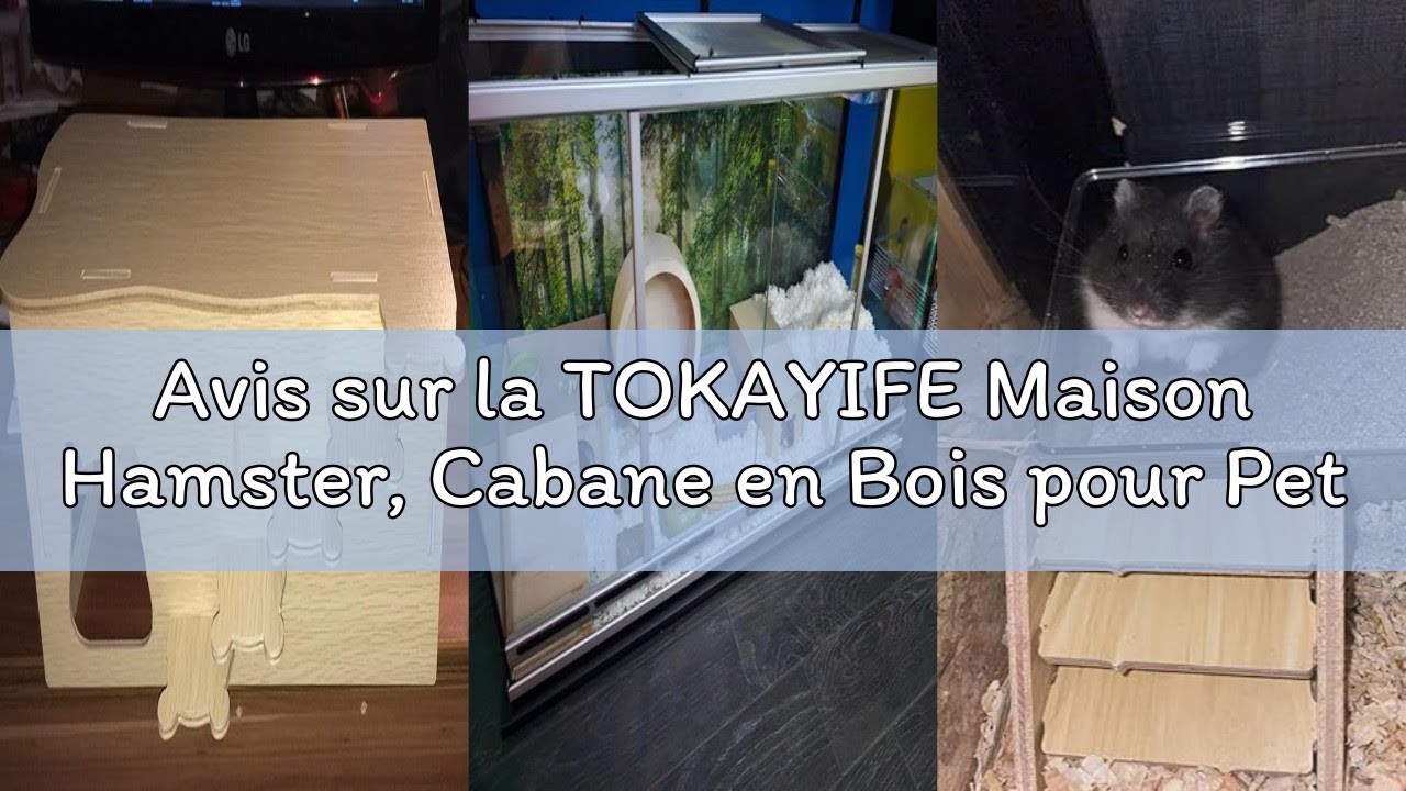 Avis sur la TOKAYIFE Maison Hamster, Cabane en Bois pour Petit Animal de Compagnie, Maison de Vie Na