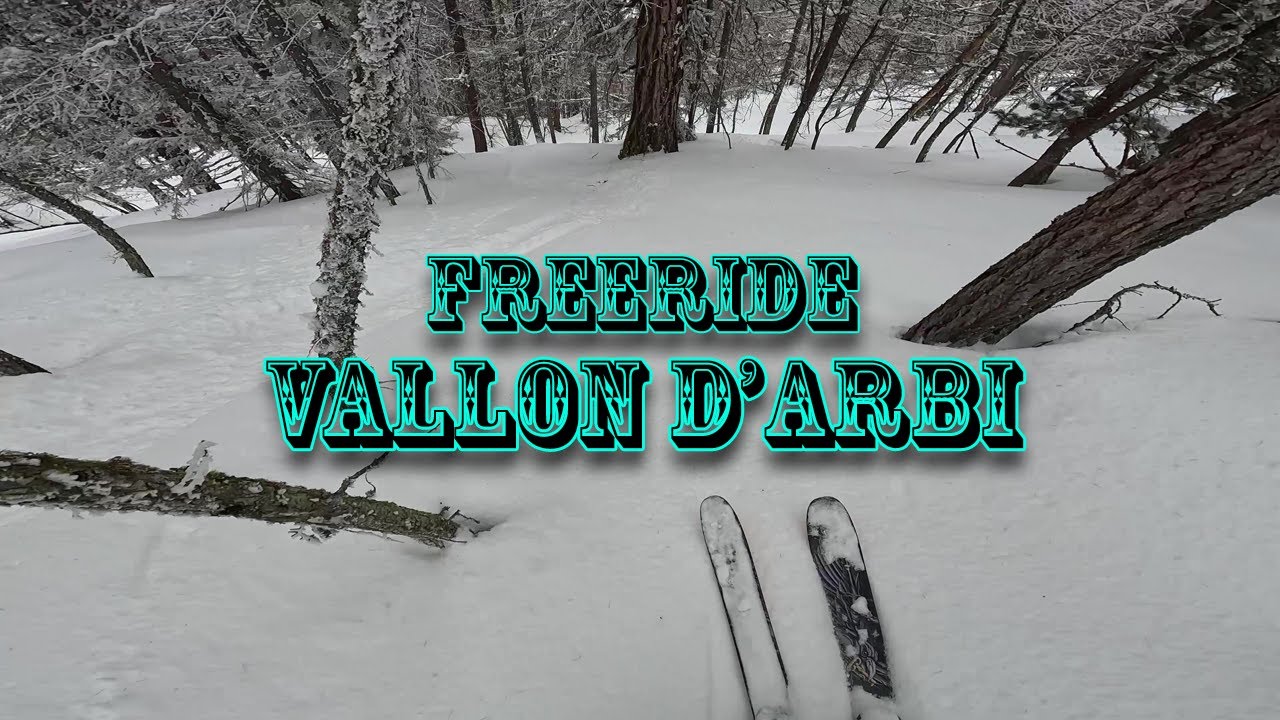 FREERIDE VALLON D'ARBI - VERBIER