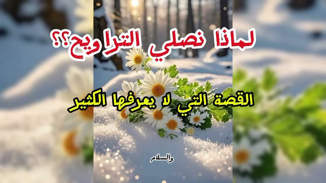 لماذا نصلي التراويح؟القصة التي لايعرفها الكثير من الناس