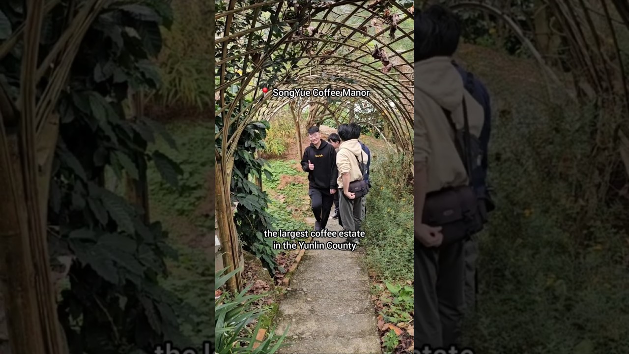 Exclusive TAIWAN Coffee Farm Tour! | Song Yue Estate, Taiwan