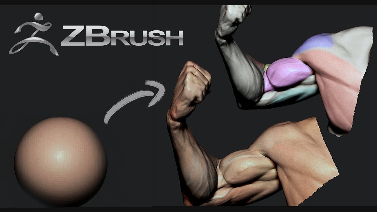 Arm sculpting and animation - Zbrush [Timelapse]