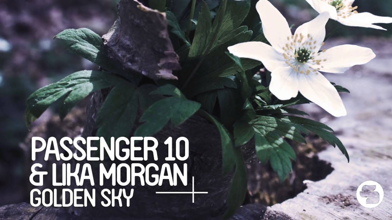 Passenger 10 & Lika Morgan - Golden Sky (Me & My Toothbrush Remix)