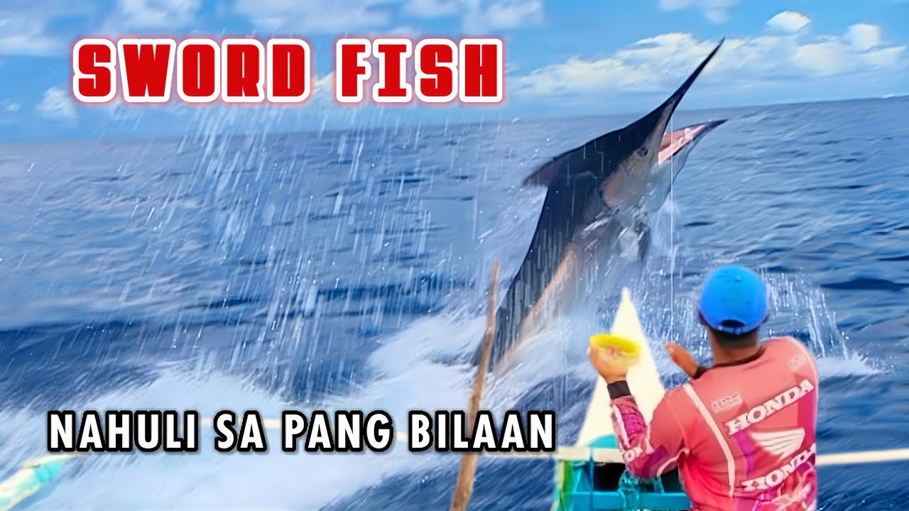 UNEXPECTED CATCH | GIANT SWORD FISH | NAHULI SA PANG BILAAN | JACKPOT